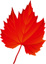 falling-leaves