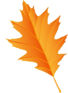 falling-leaves